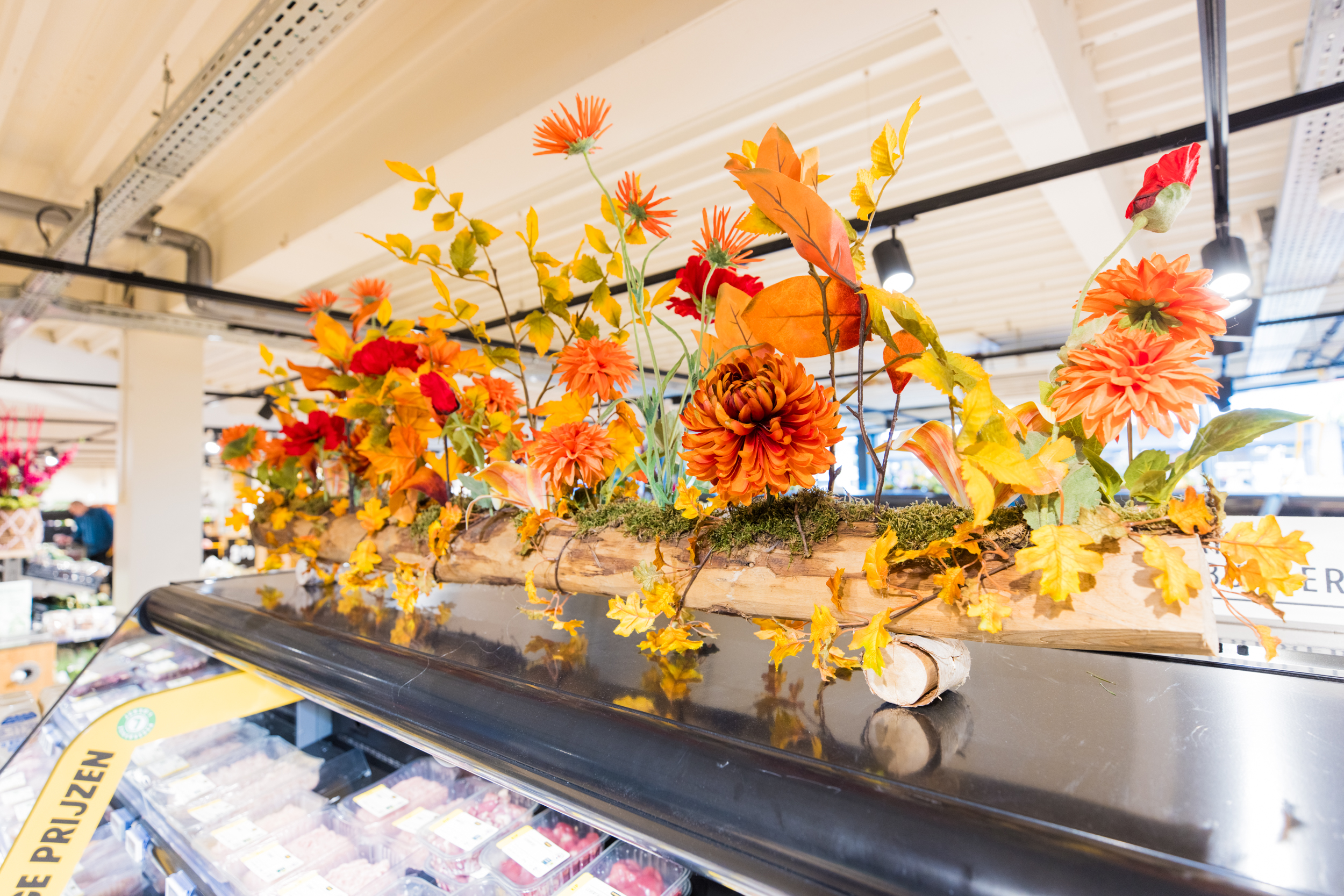 250521 jumbo miernmet 148